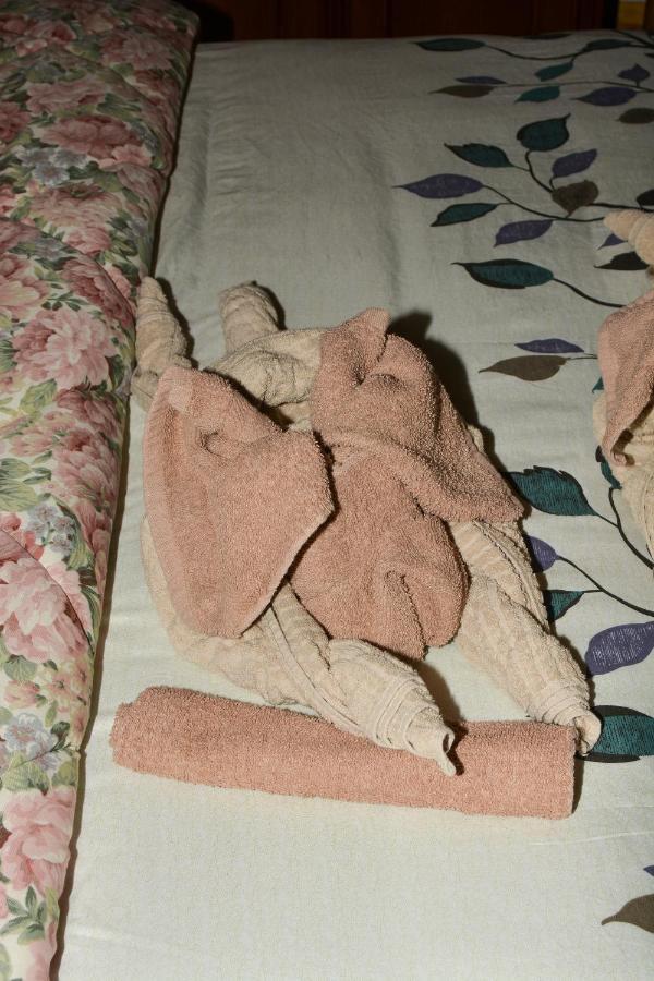 Chalet Del Paese Incantato モンチェニージオ エクステリア 写真